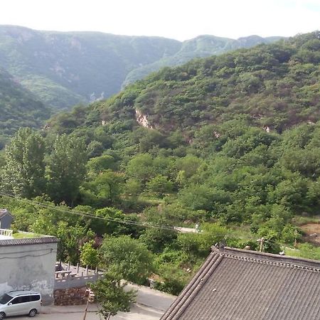 Kungfu Hostel （Songshan Shaolin Temple) Songyang 외부 사진